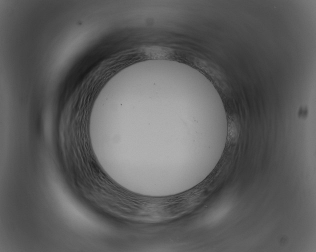 X0000089400431200707131743