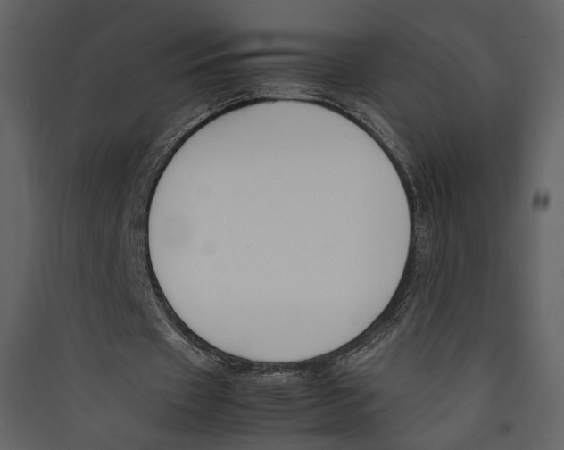 X0000089400433200707131743