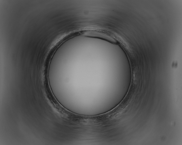 X0000089400436200707131743