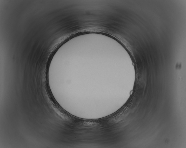 X0000089400437200707131743