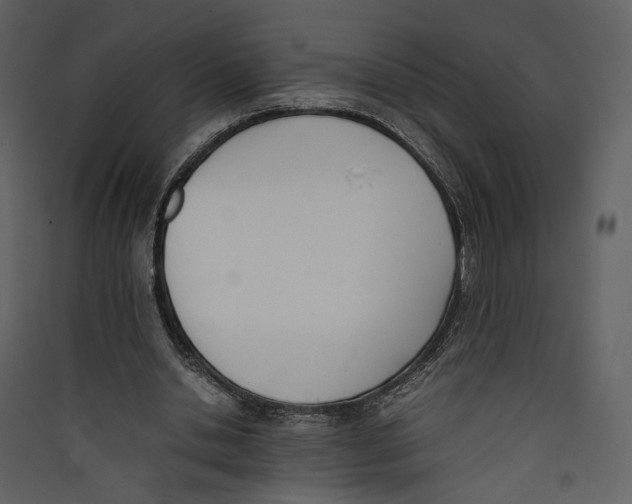 X0000089400438200707131743
