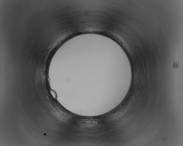 X0000089400443200707131743