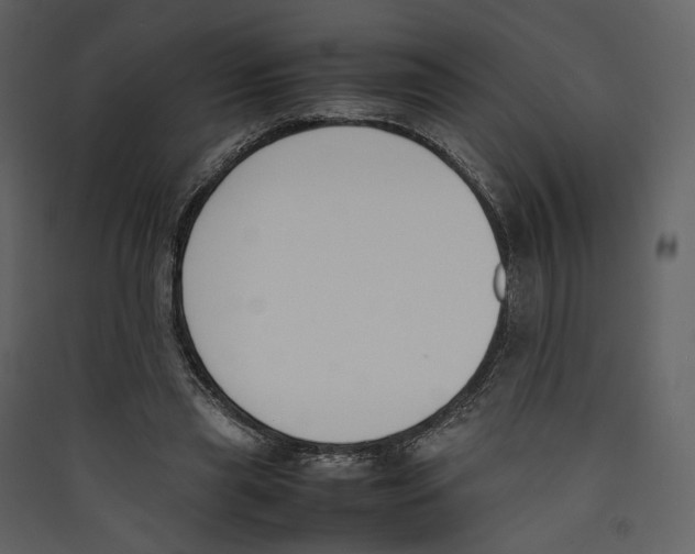 X0000089400445200707131743