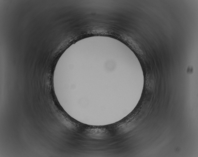 X0000089400449200707131743