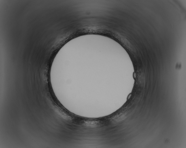 X0000089400450200707131743