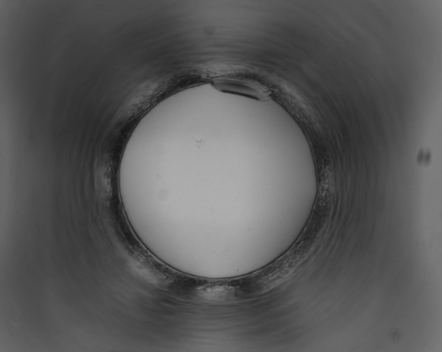 X0000089400452200707131743
