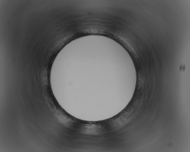 X0000089400453200707131743