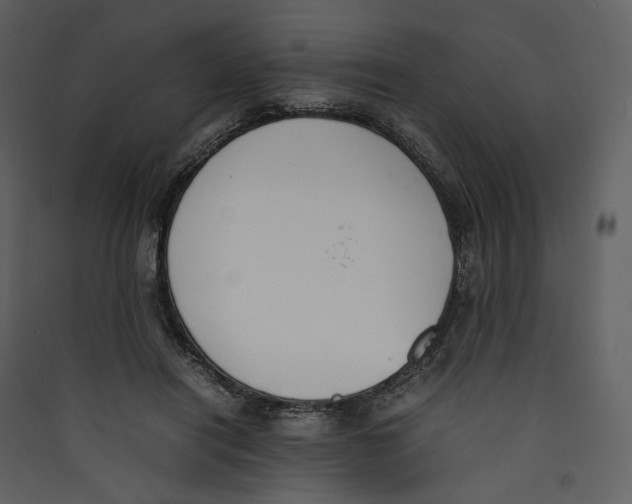 X0000089400454200707131743