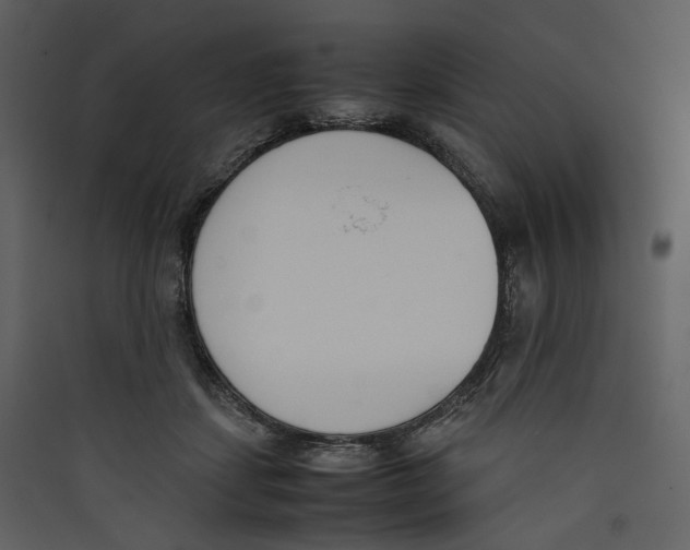 X0000089400459200707131743