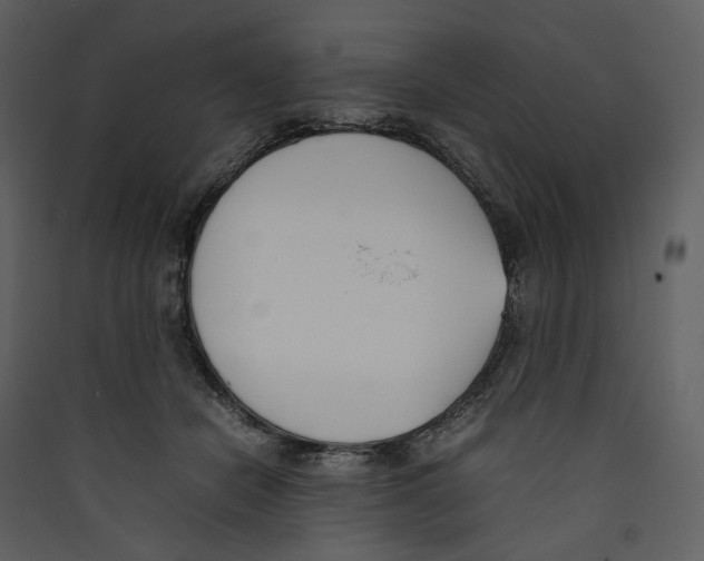 X0000089400462200707131743