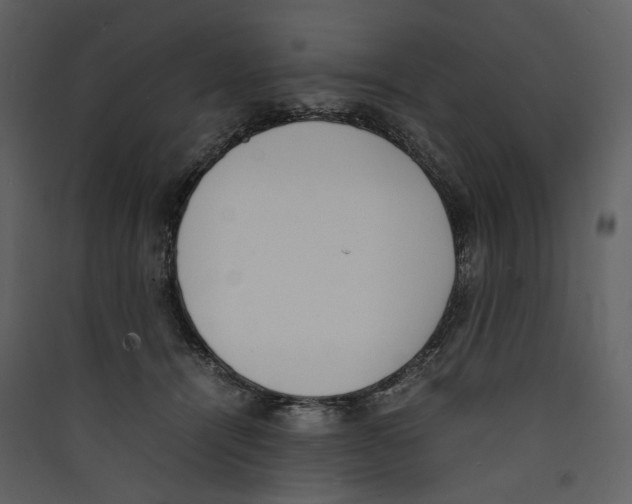 X0000089400464200707131743