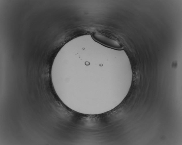 X0000089400466200707131743