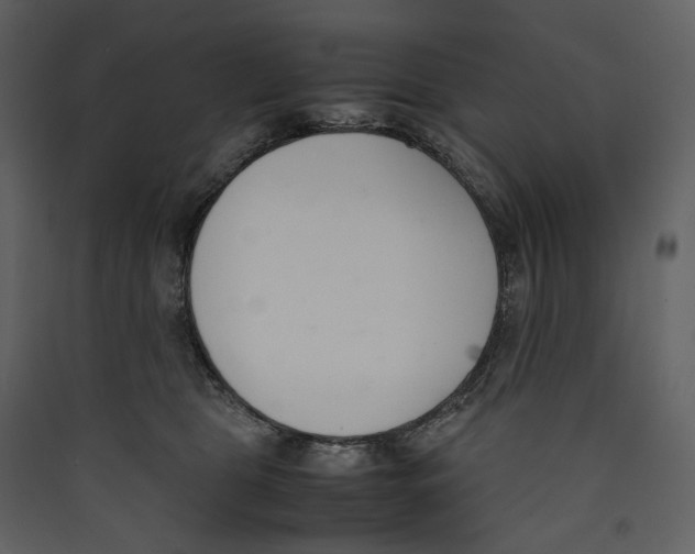 X0000089400469200707131743