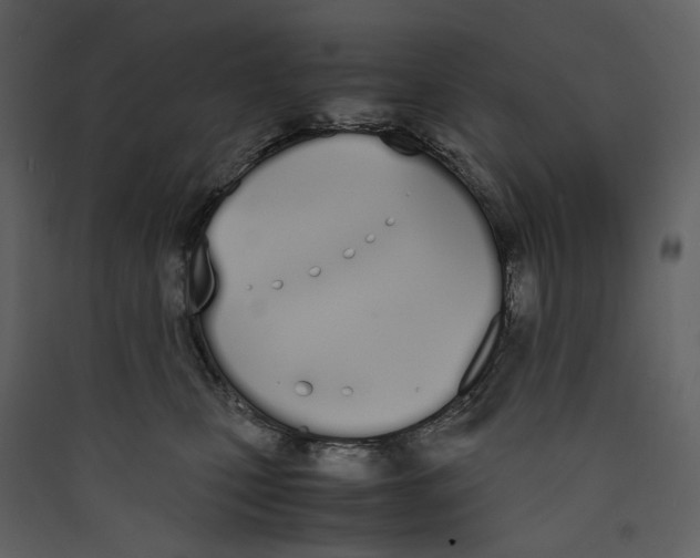 X0000089400471200707131743
