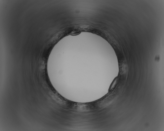 X0000089400472200707131743