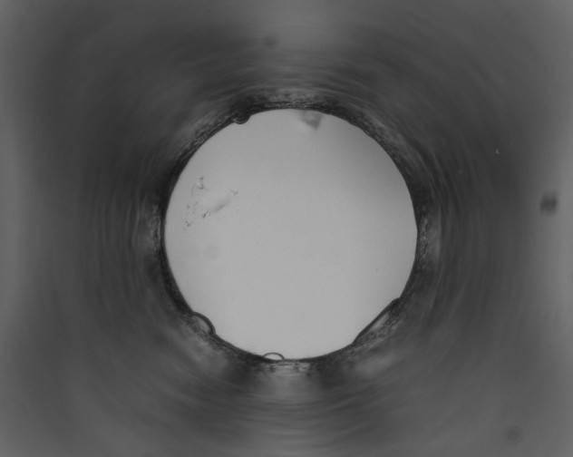 X0000089400474200707131743