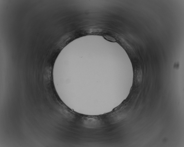 X0000089400475200707131743