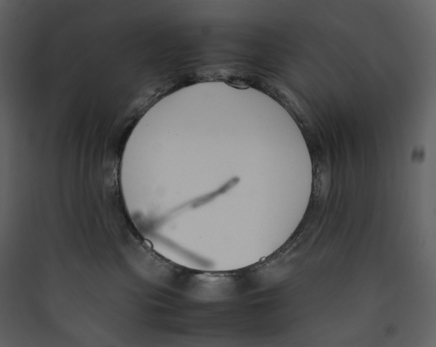 X0000089400477200707131743