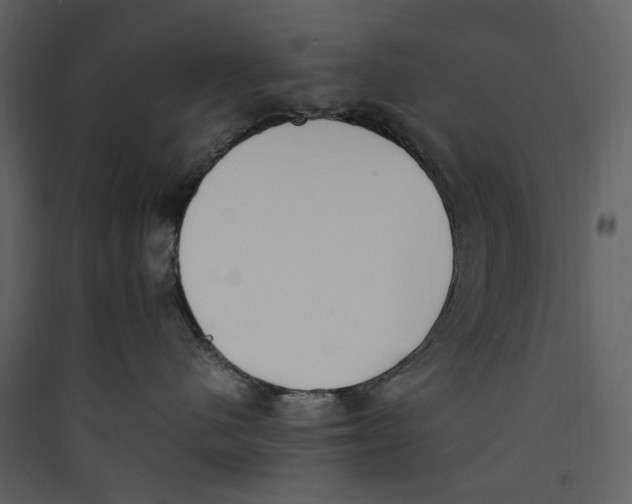 X0000089400480200707131743