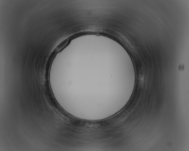 X0000089400484200707131743