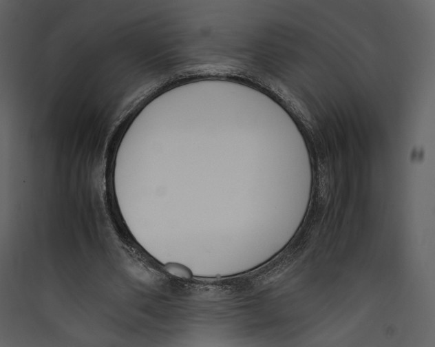 X0000089400486200707131743