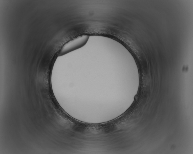 X0000089400489200707131743