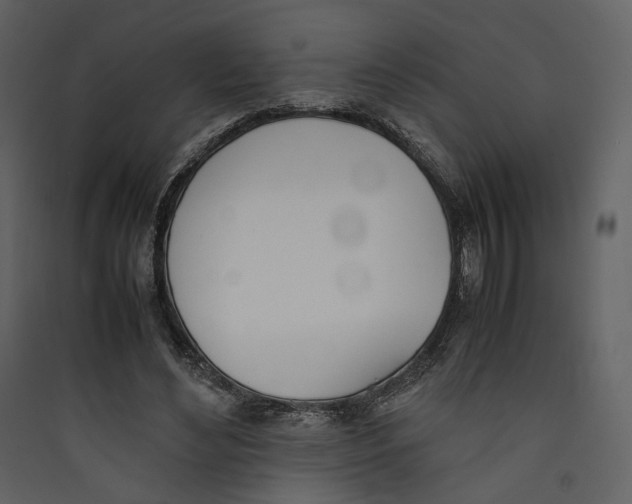 X0000089400492200707131743