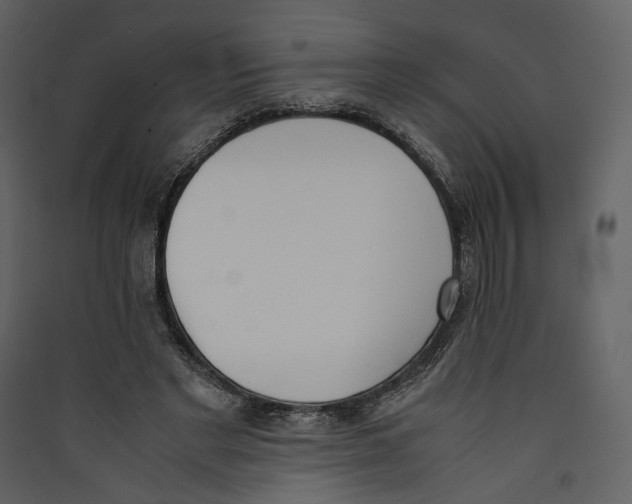 X0000089400493200707131743