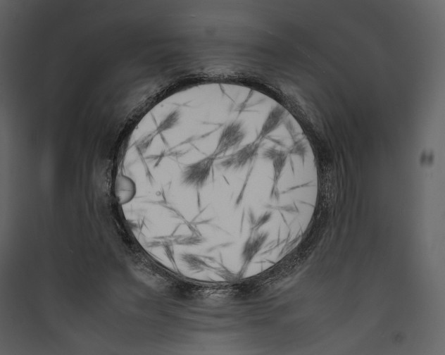 X0000089400495200707131743