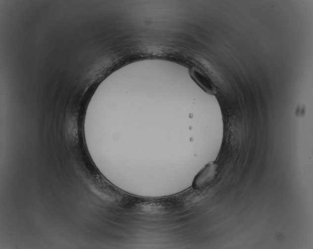 X0000089400500200707131743