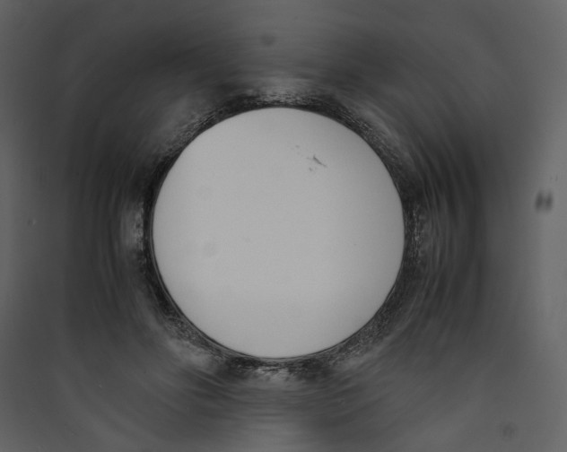 X0000089400502200707131743