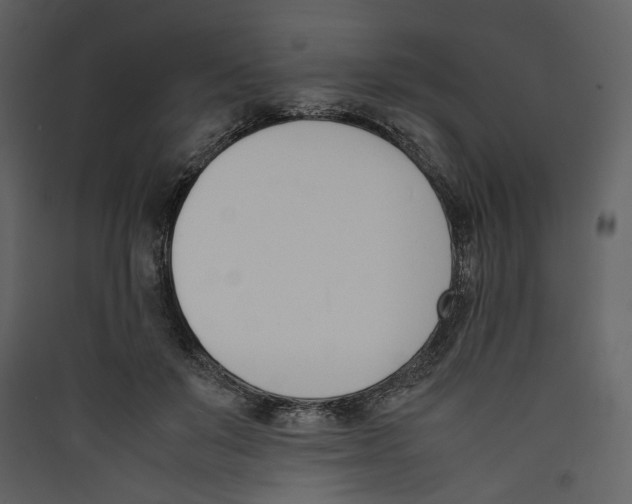X0000089400503200707131742