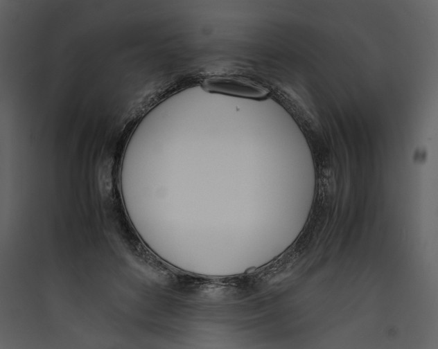X0000089400504200707131742