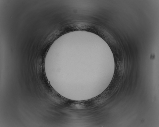 X0000089400506200707131742