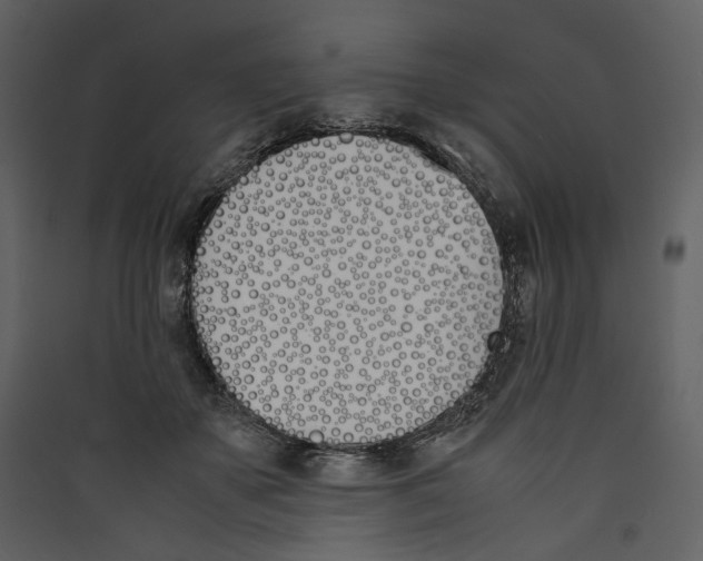 X0000089400507200707131742