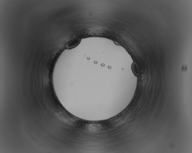 X0000089400508200707131742