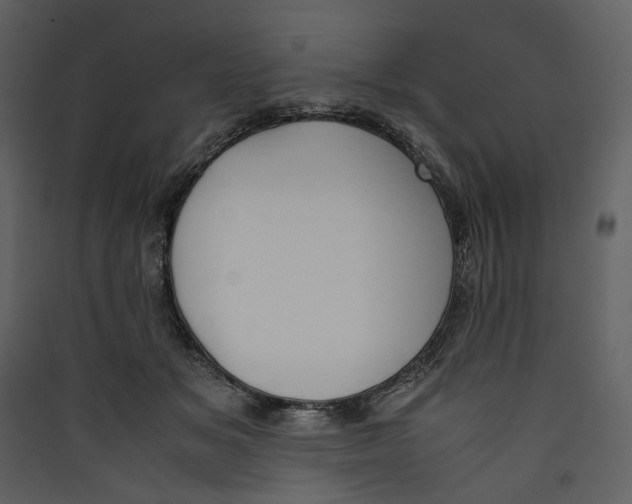 X0000089400509200707131742