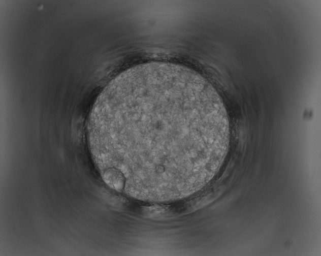 X0000089400511200707131742