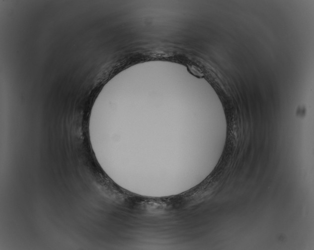 X0000089400512200707131742