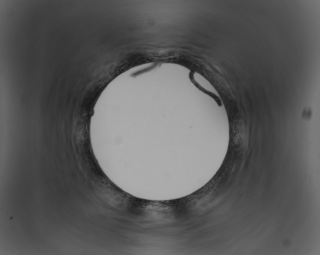 X0000089400515200707131742
