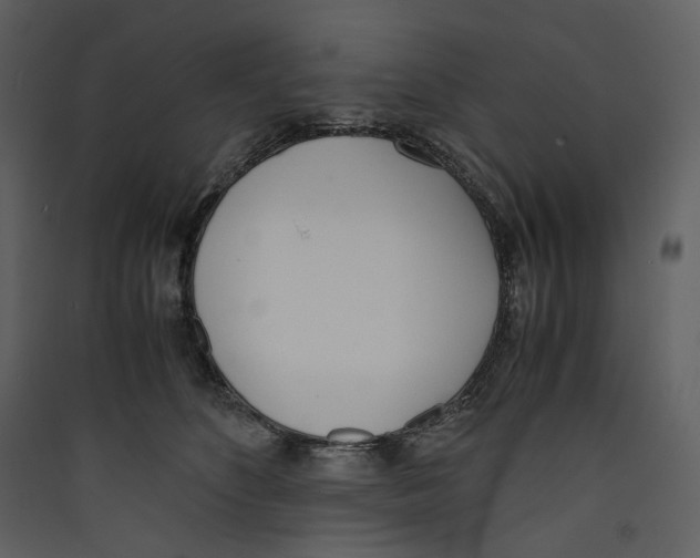 X0000089400516200707131742
