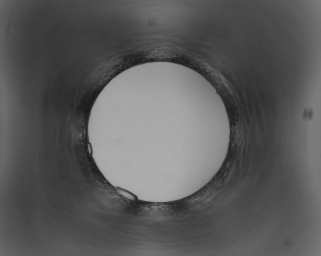 X0000089400517200707131742