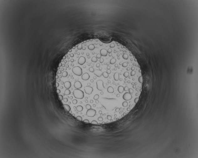 X0000089400519200707131742