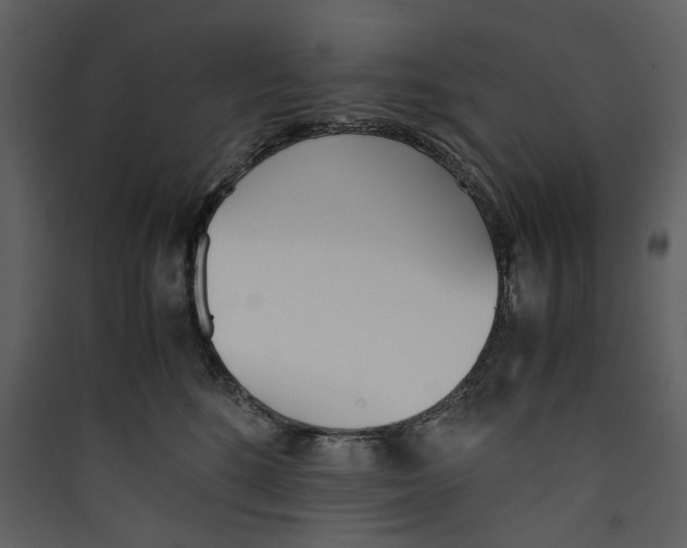 X0000089400520200707131742