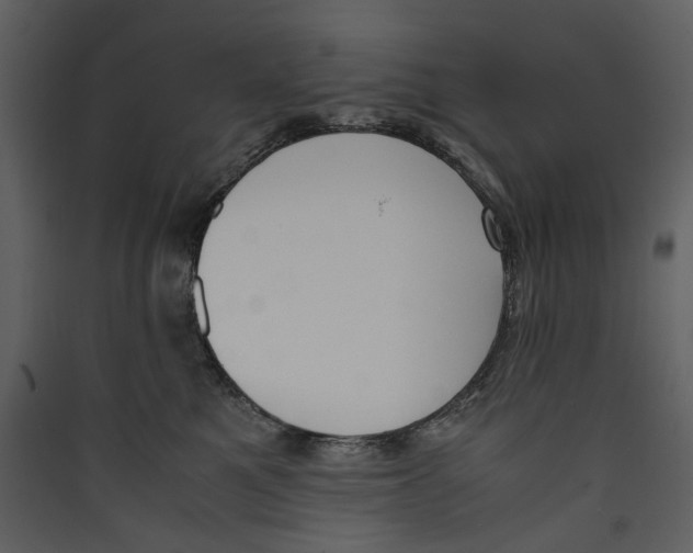 X0000089400521200707131742