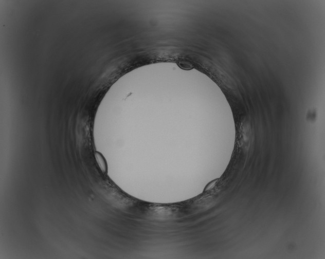 X0000089400522200707131742