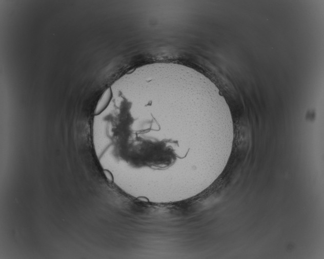 X0000089400523200707131742