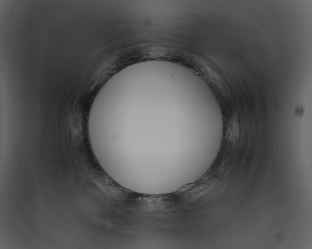 X0000089400524200707131742