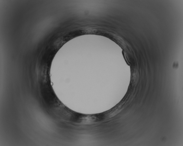 X0000089400525200707131742