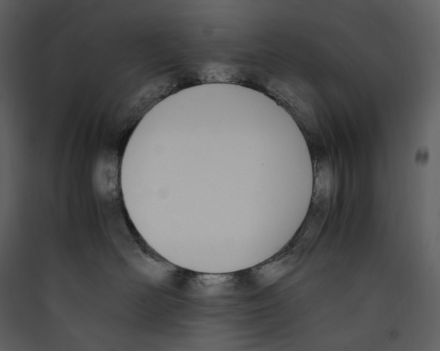 X0000089400526200707131742